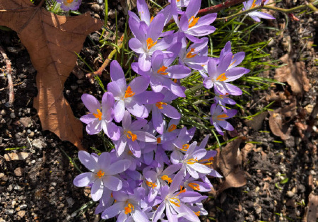 Anni Iwanoff - Astrologie & Horoskope - Tarot & Kartenlegen - Beruf & Karriere - Liebe & Partnerschaft - Hellsehen & Wahrsagen